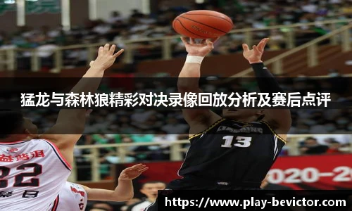 猛龙与森林狼精彩对决录像回放分析及赛后点评