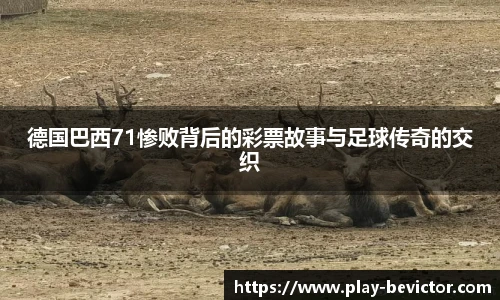德国巴西71惨败背后的彩票故事与足球传奇的交织